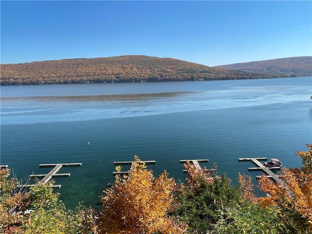 property view of water featuring a mountain view