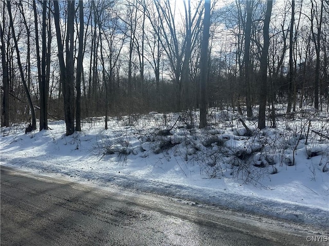 0000 Woodmancy Rd, Tully NY, 13159 land for sale