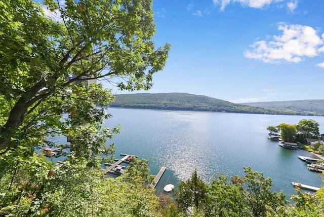 property view of water featuring a dock