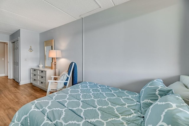 7 Cliffside Dr, South Bristol, NY 14424 - bedroom with light hardwood / wood-style floors