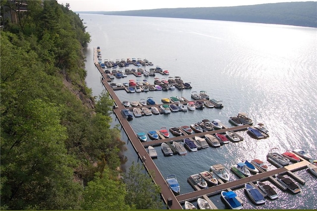 7 Cliffside Dr, South Bristol, NY 14424 - bird's eye view featuring a water view
