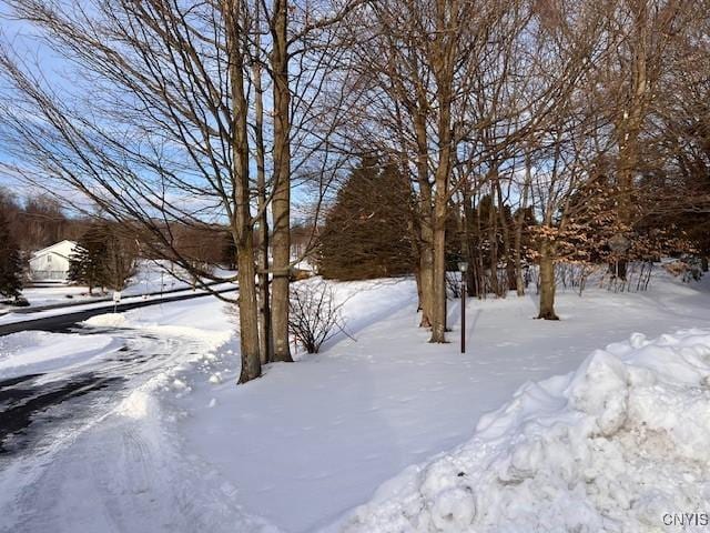 view of snowy yard