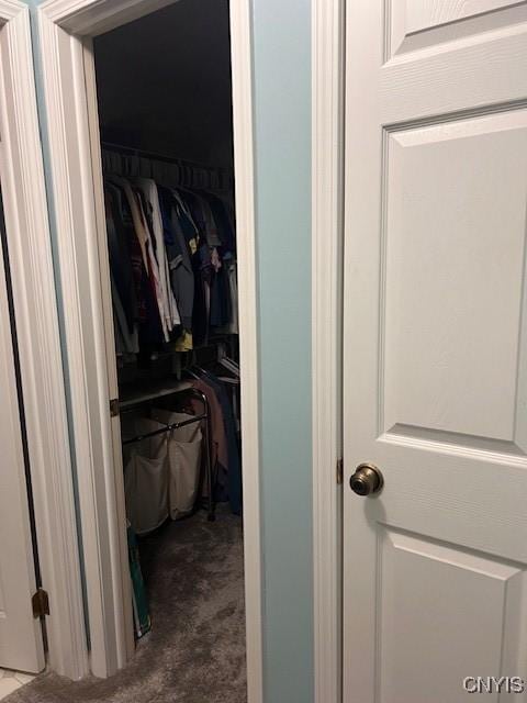 view of closet