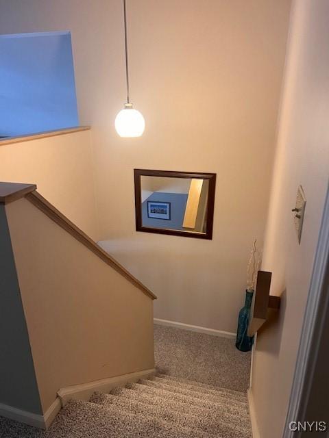 stairs with carpet flooring