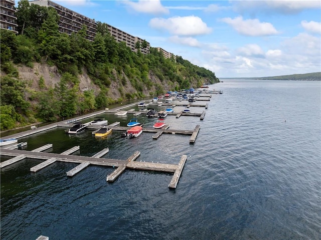 dock area featuring a water view