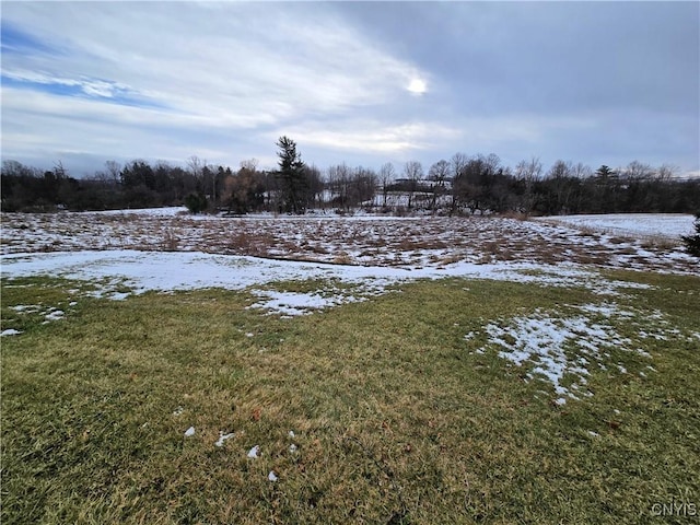 view of snowy yard