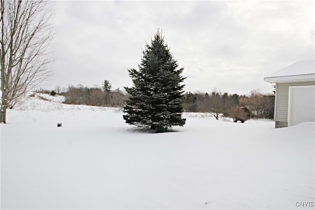 view of snowy yard