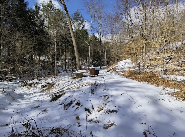 view of snowy landscape