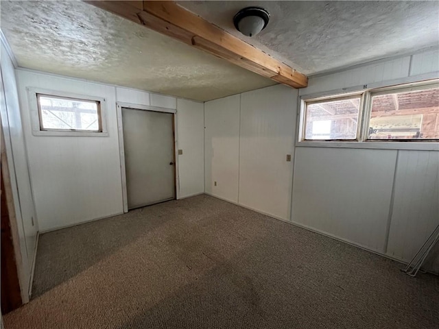basement featuring carpet flooring, plenty of natural light, and a textured ceiling