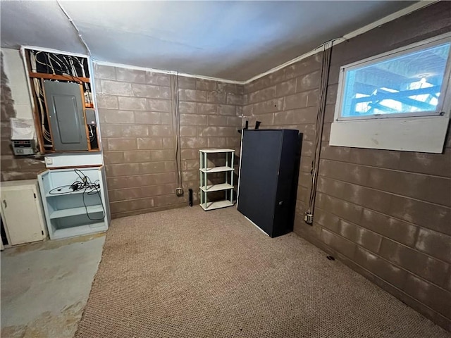 below grade area with electric panel and concrete block wall