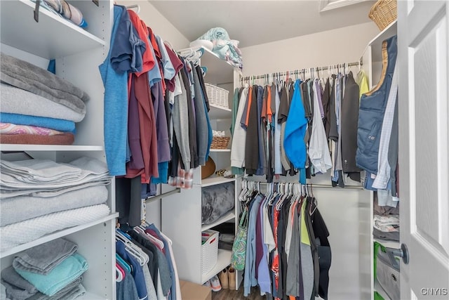 view of spacious closet