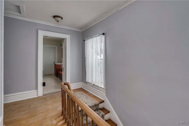 hallway featuring ornamental molding and light wood-type flooring