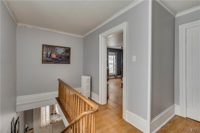 corridor with hardwood / wood-style floors, crown molding, and radiator heating unit