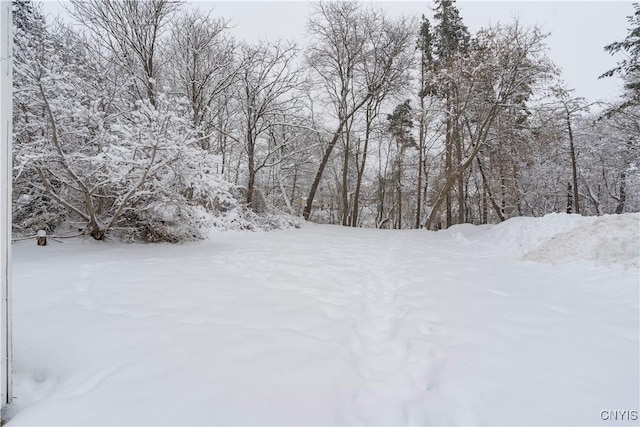 view of snowy landscape