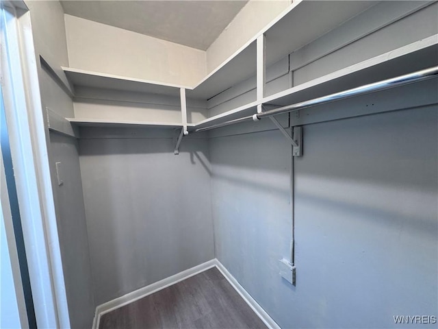 walk in closet featuring hardwood / wood-style flooring