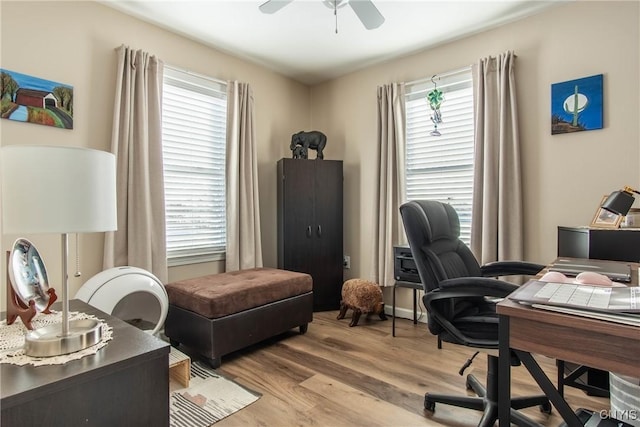 office featuring a wealth of natural light, ceiling fan, and light wood-type flooring