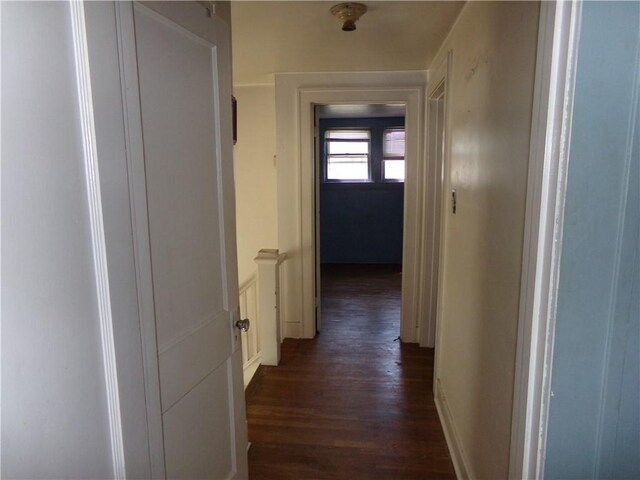 hallway featuring dark wood-style flooring