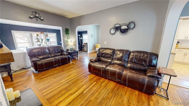 living room featuring light hardwood / wood-style flooring