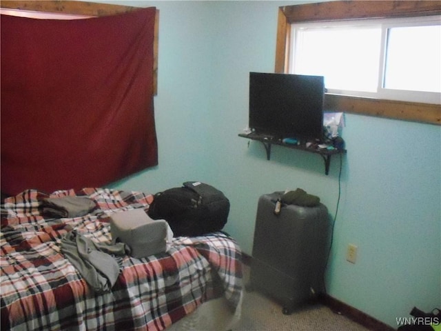 bedroom with carpet floors