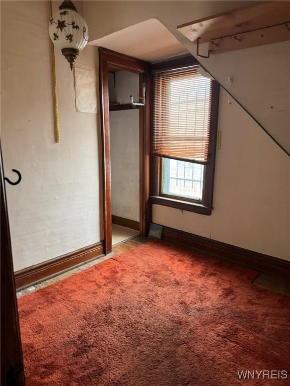 bonus room with carpet floors