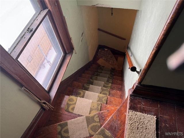 stairs featuring hardwood / wood-style floors