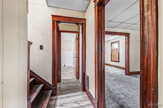 hallway featuring light wood-type flooring and wood walls