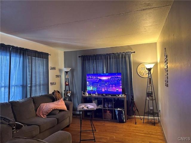 living room featuring hardwood / wood-style floors