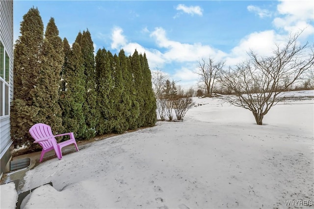 view of snowy yard