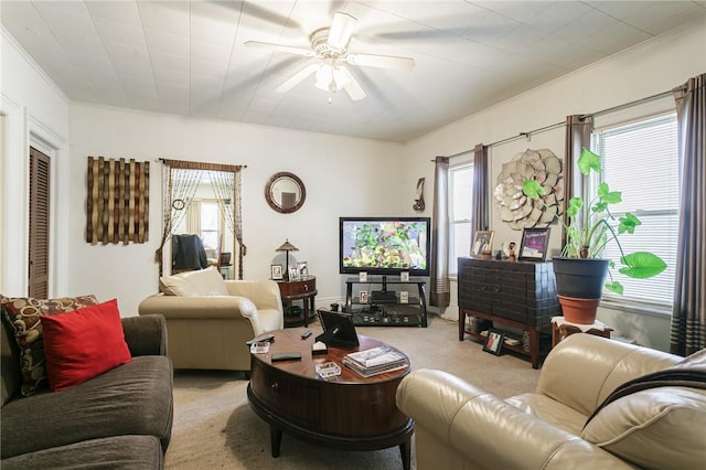 carpeted living room with ceiling fan and ornamental molding