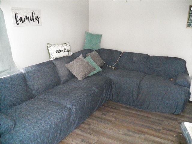 6024 W Willow Pt, Canadice, NY 14471 - living area featuring wood finished floors