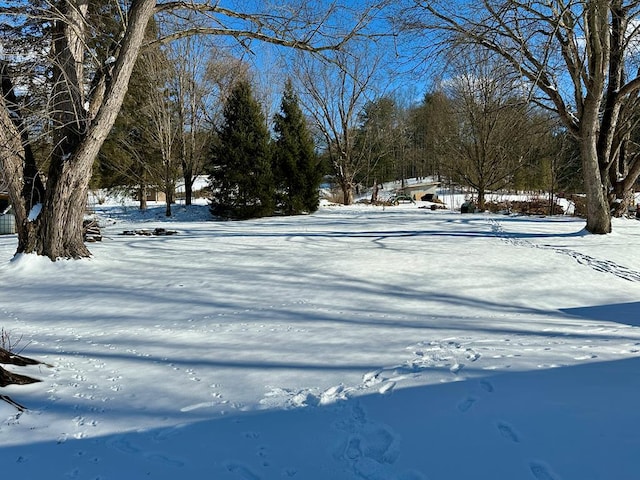 view of snowy yard