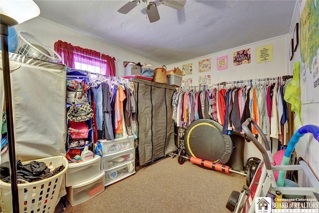 walk in closet featuring carpet floors and ceiling fan