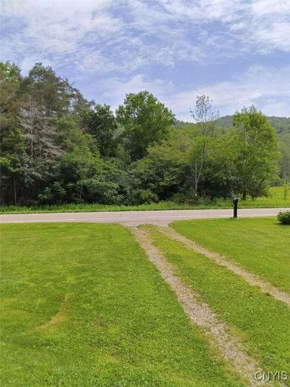 view of home's community featuring a yard