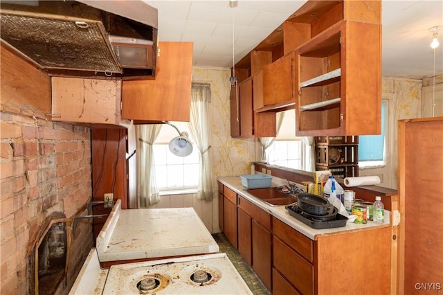 kitchen featuring brown cabinetry, plenty of natural light, a sink, and open shelves