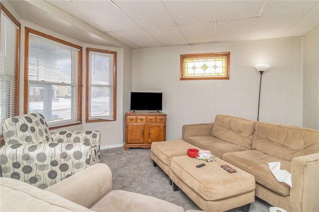 living room featuring a drop ceiling and carpet