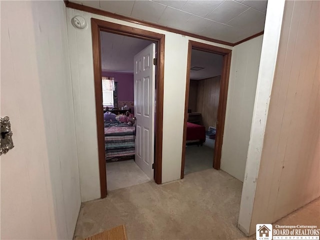 corridor with crown molding and light colored carpet