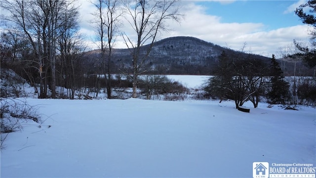 view of mountain feature