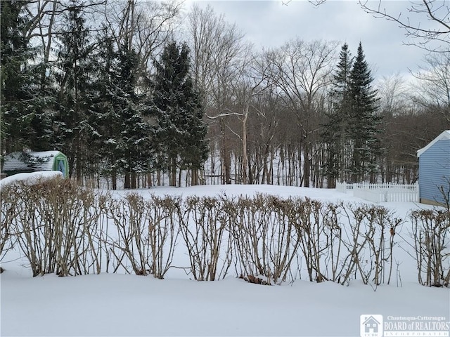 view of yard covered in snow