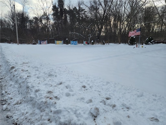 view of yard layered in snow