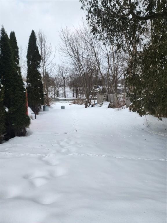 view of yard layered in snow