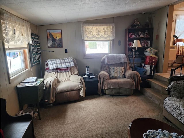 living area with carpet