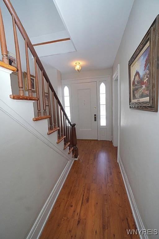 foyer entrance featuring dark wood-type flooring