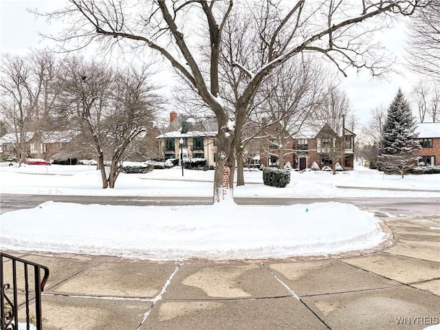 view of yard layered in snow