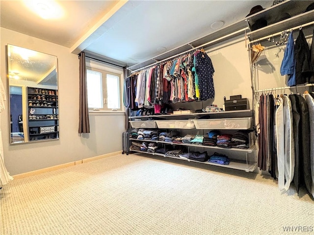 walk in closet with carpet flooring