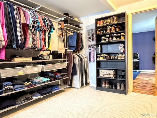 walk in closet with carpet flooring