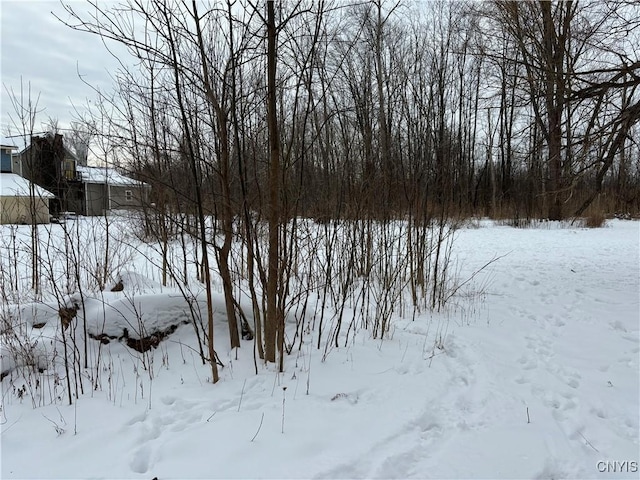 view of snowy yard