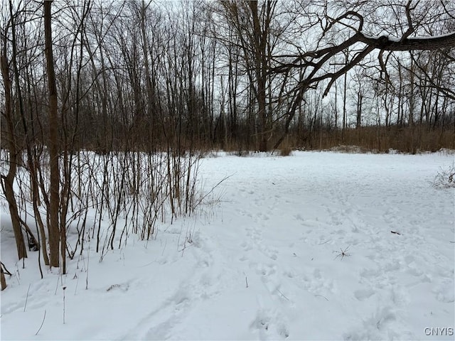 view of yard covered in snow