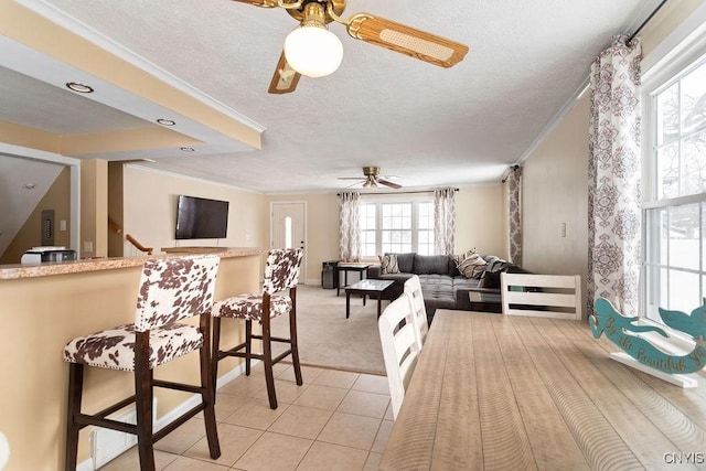 interior space with ceiling fan, ornamental molding, and a textured ceiling