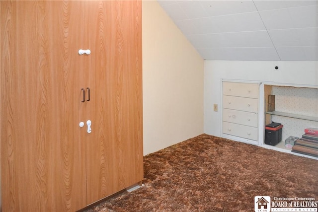 additional living space with lofted ceiling and carpet floors