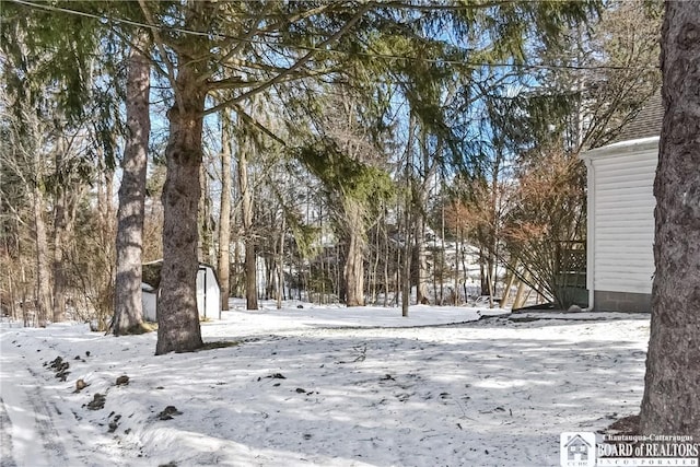 yard covered in snow featuring a storage shed